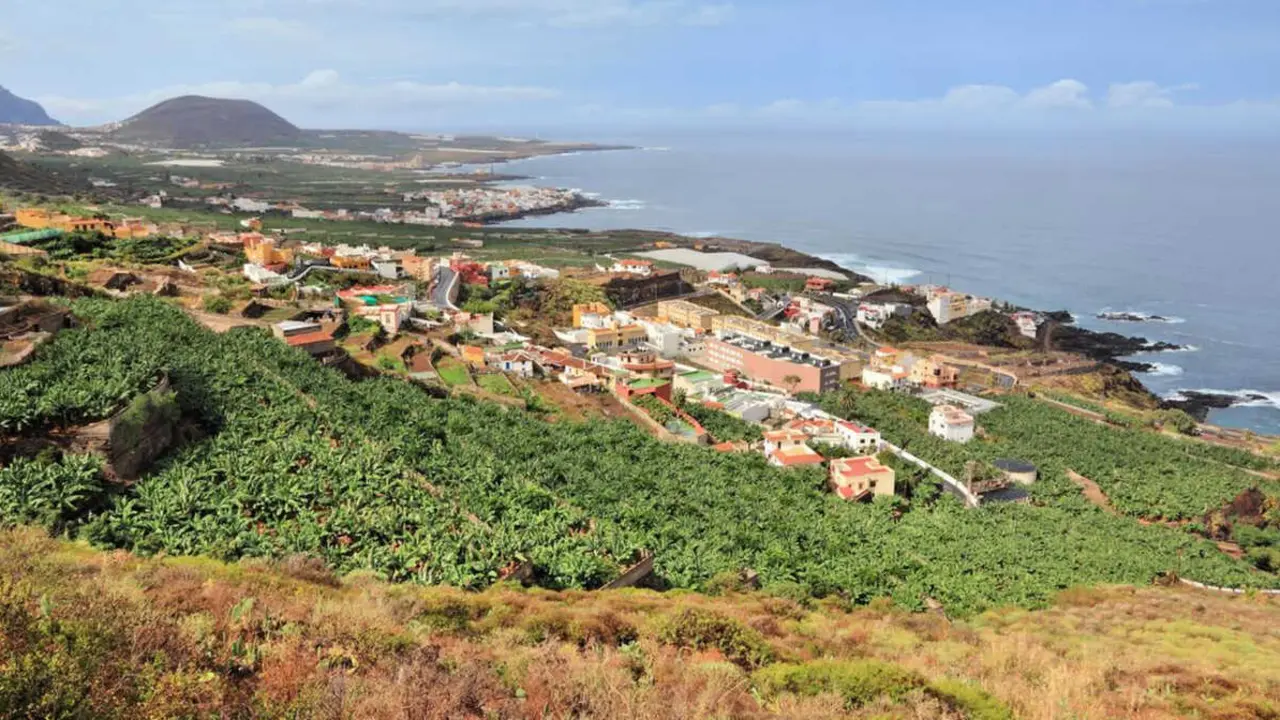 Los Pedregales (El Palmar-Buenavista)