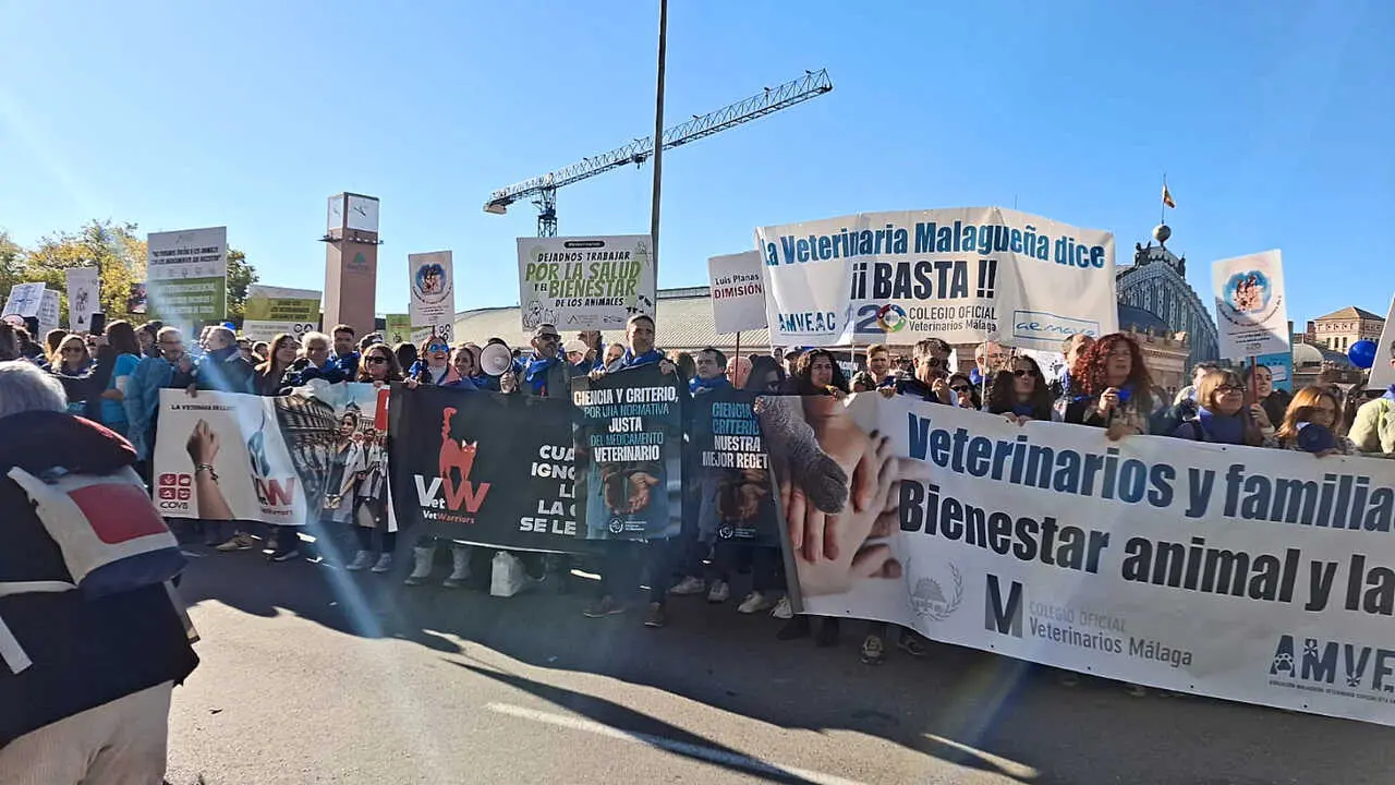 Manifestaci&oacute;n veterinarios en Madrid
