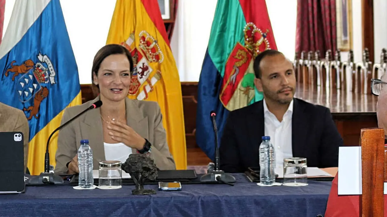 ARONA NUEVAS VIVIENDAS(1)