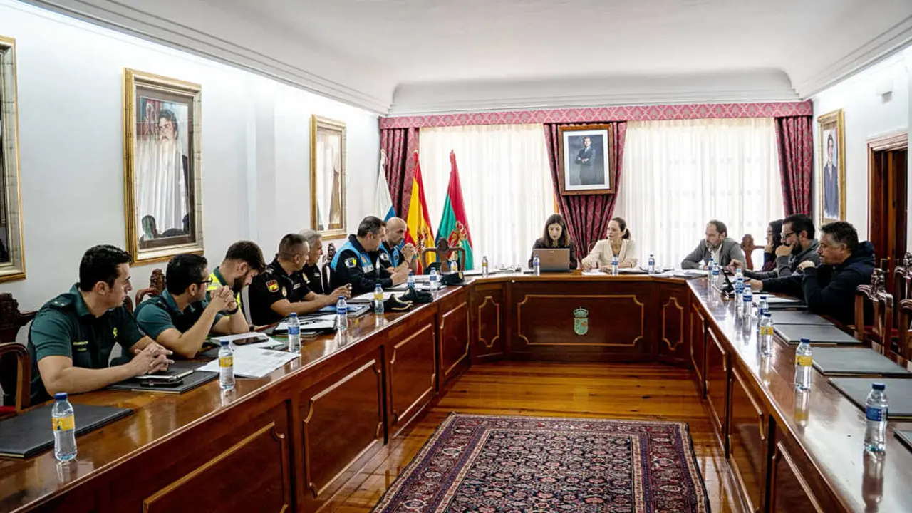 ARONA JUNTA LOCAL DE SEGURIDAD 01