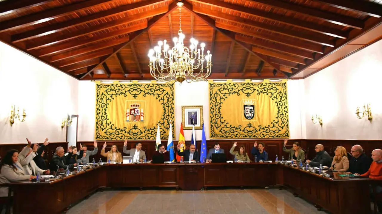 Pleno ordinario El Rosario (1)(1)