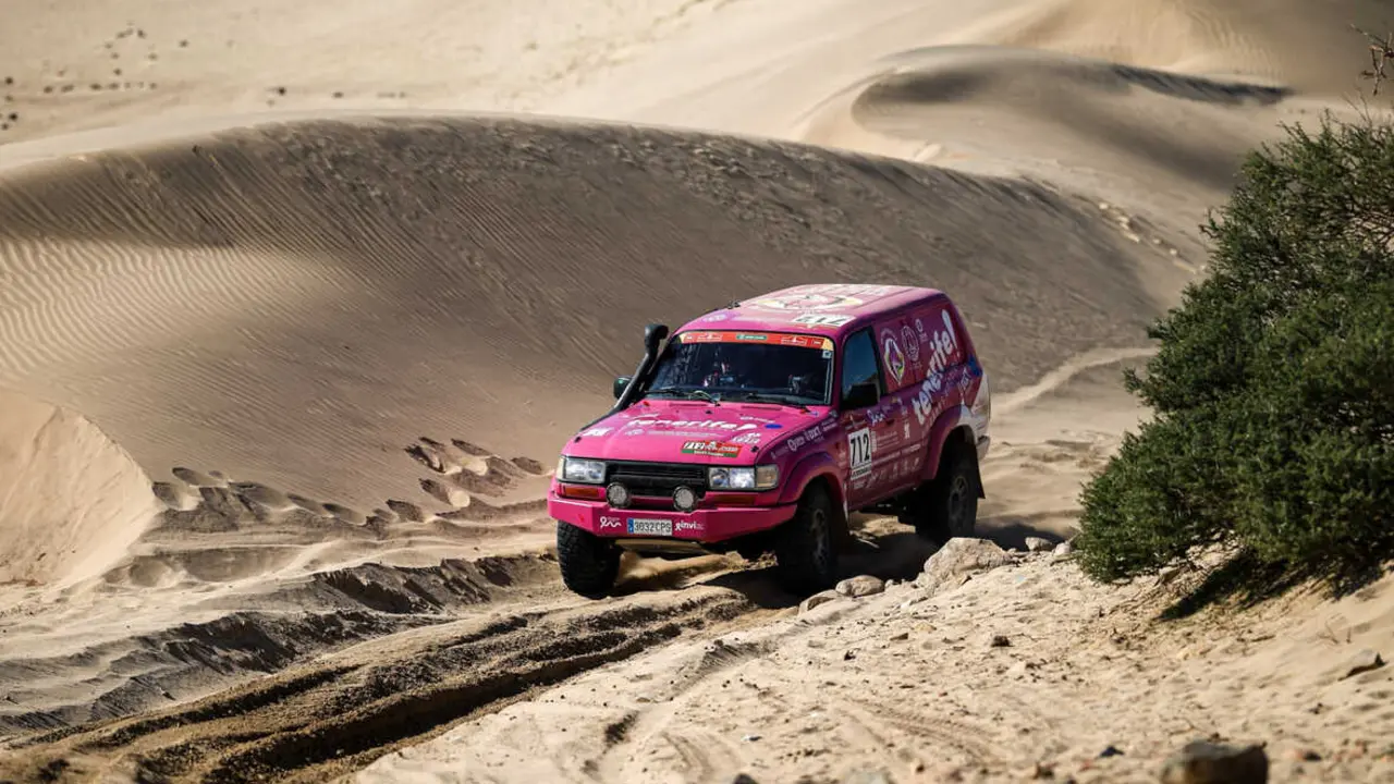 Zorro Rosa Dakar
