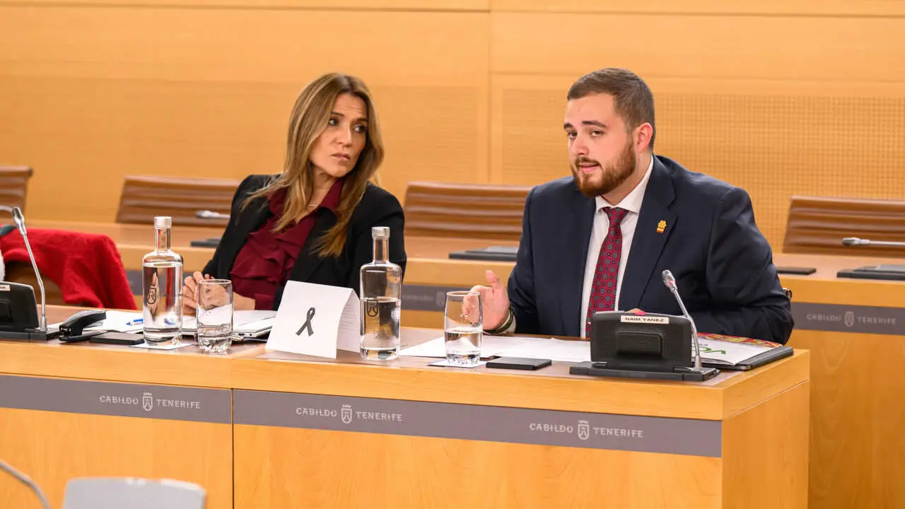 VOX Cabildo 20260130_Pleno-18(1)