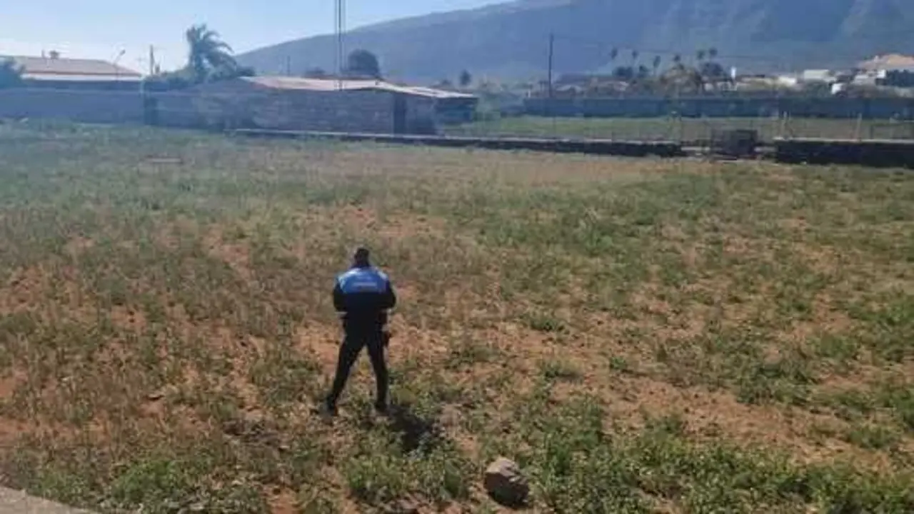 El agente de Polic&iacute;a recupera el arma blanca utlizada en la agresi&oacute;n