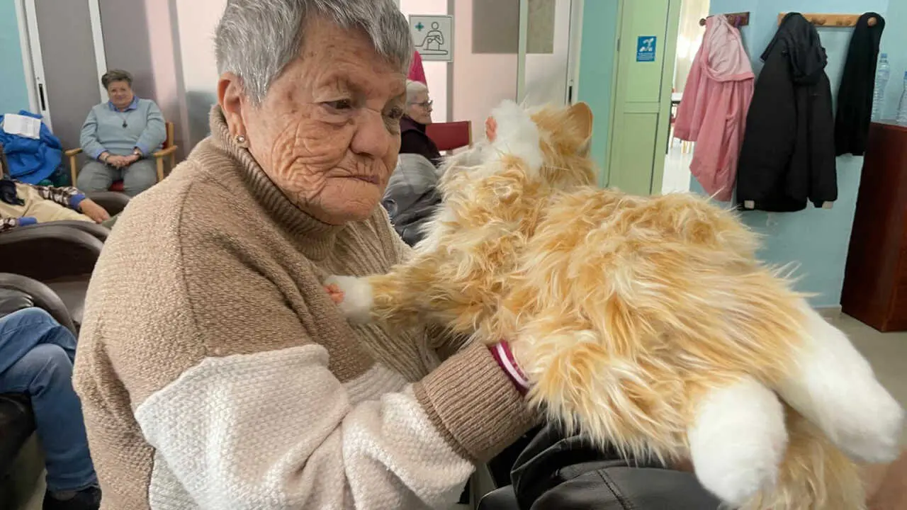 Gato terapia Acaymo 1