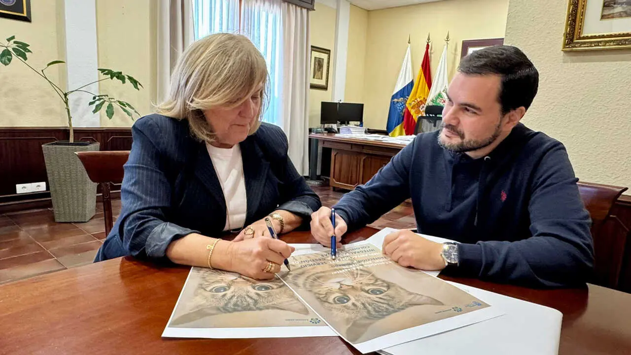 GESTI&Oacute;N COLONIAS FELINAS AUTORIDADES