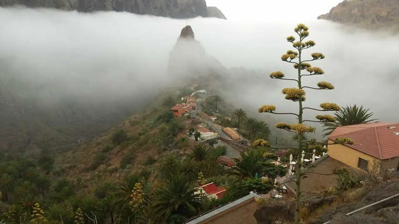 masca
