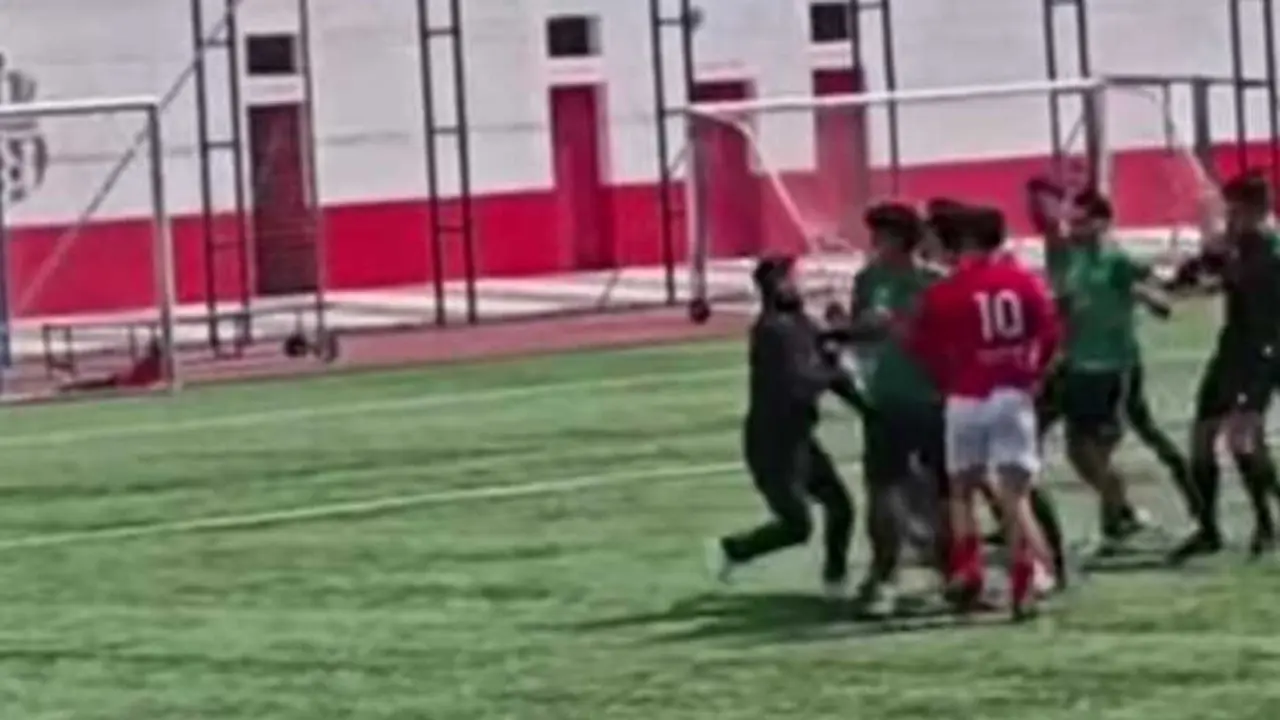 El espectador, vestido de negro, da un pu&ntilde;etazo a un jugador de Hermigua (camiseta verde).
