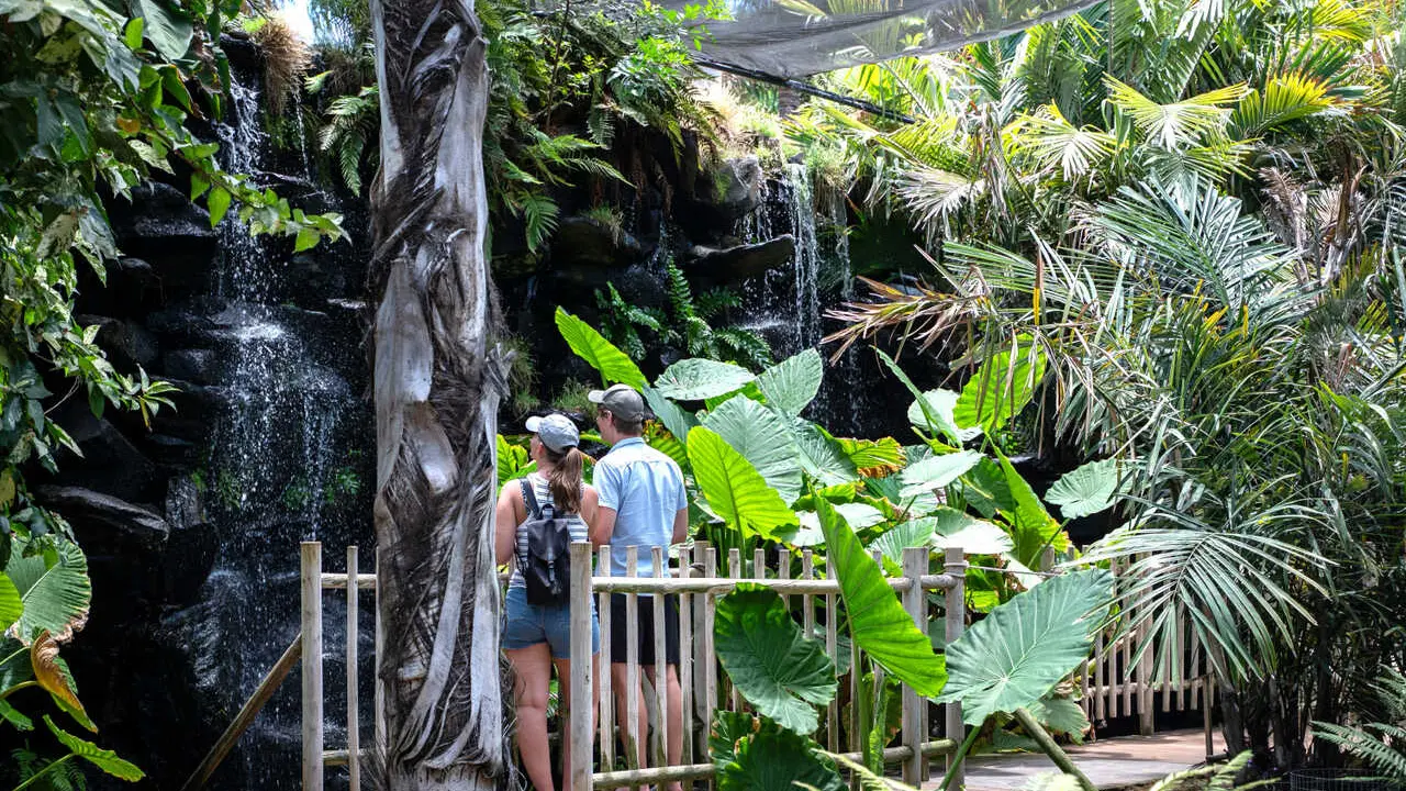 260309 Palmetum 1(1)