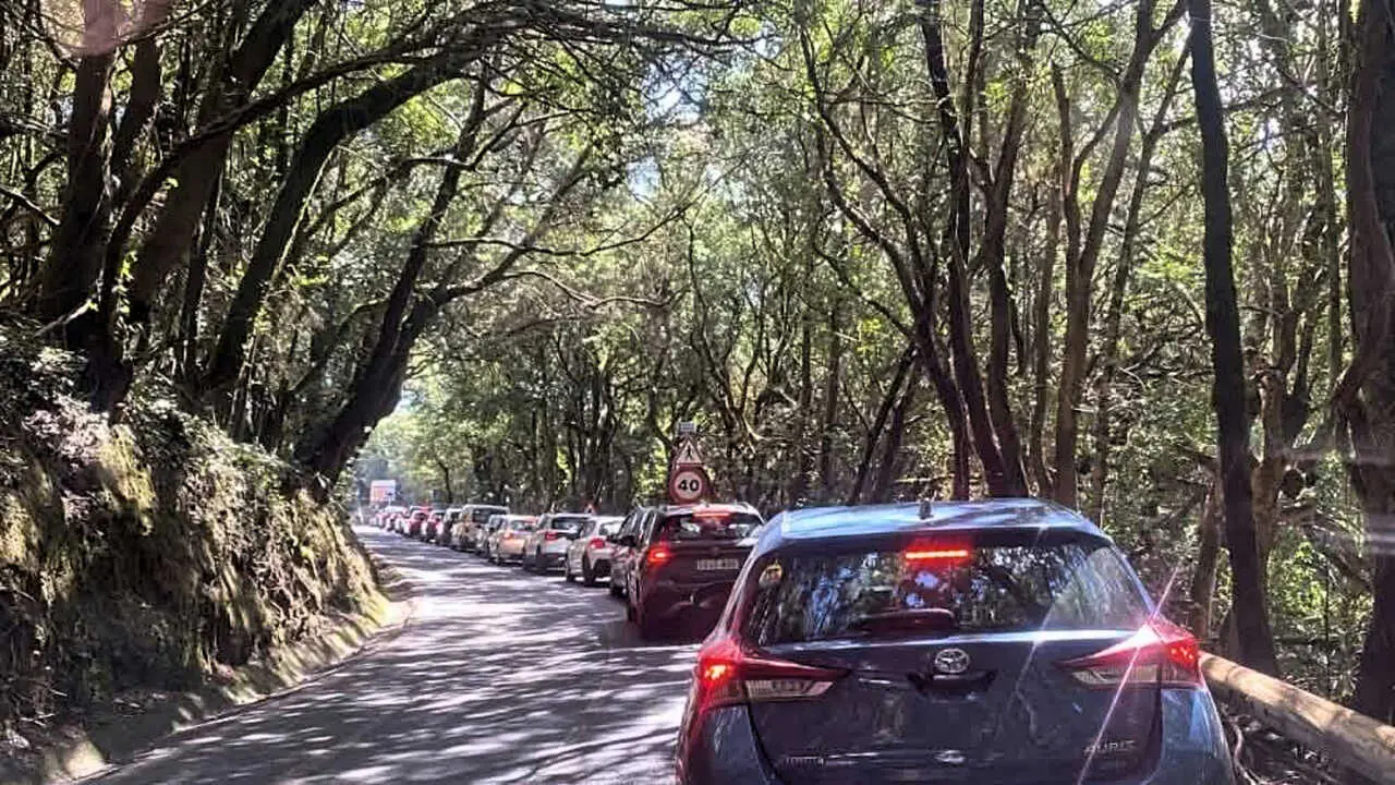 Carretera Anaga _n(1)