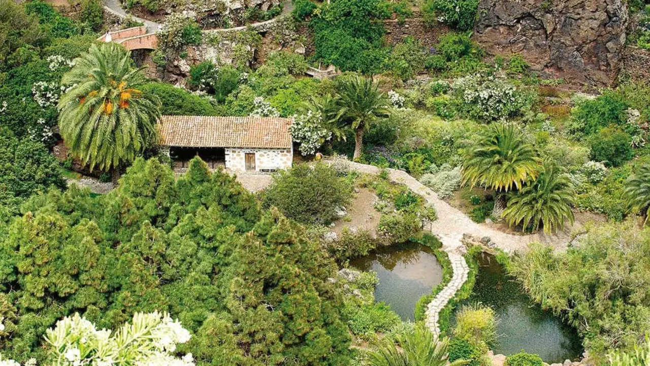 Jard&iacute;n Canario Viera y Clavijo en el Barranco del Guiniguada