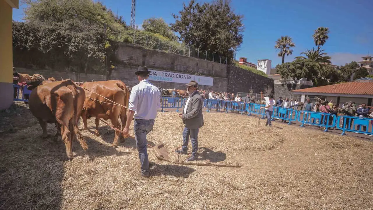 El Rosario presume de ganader&iacute;a y de agricultura