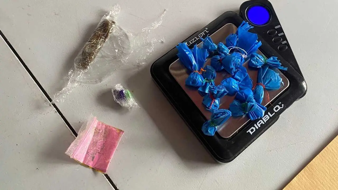 La droga incautada en un festival