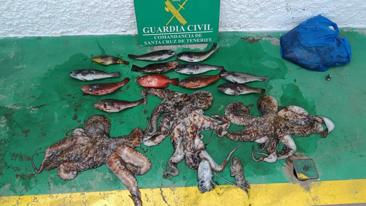 Pesca ilegal Candelaria