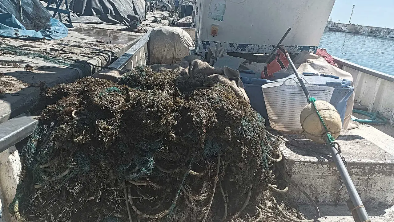 Asi se encuentran las redes de los pescadores por culpa de las algas invasoras