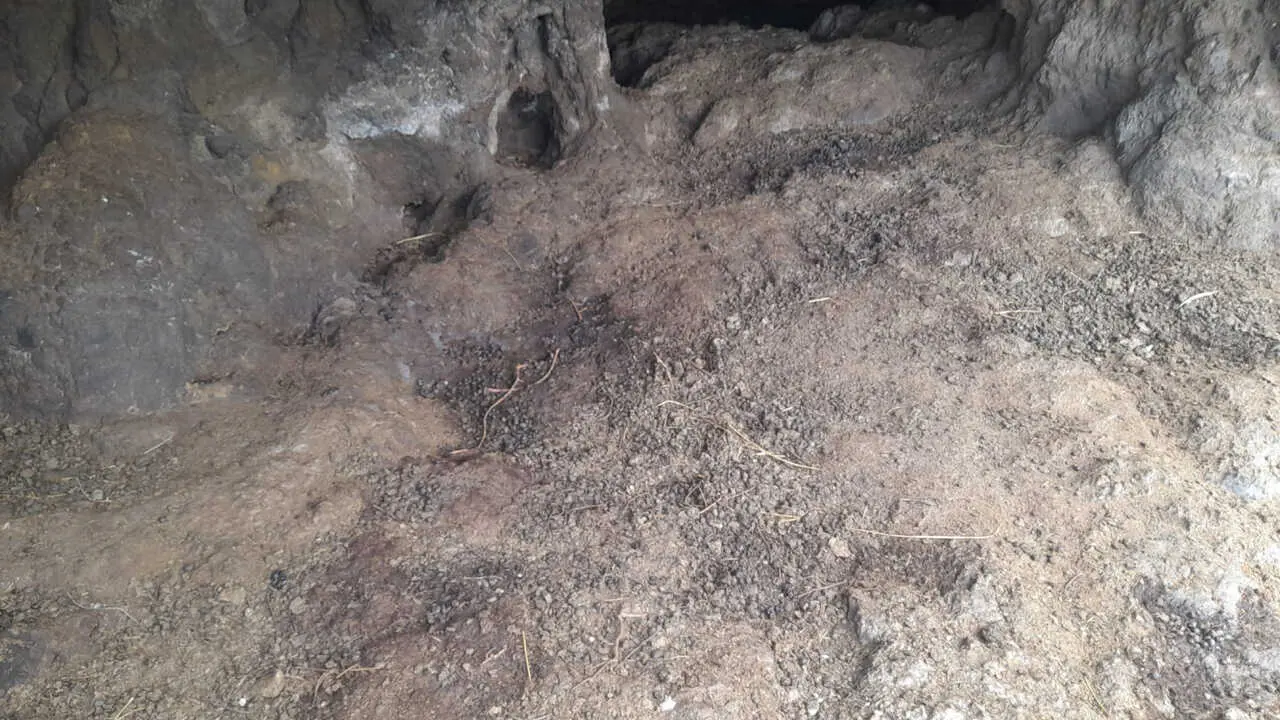 Bencomo foto_cueva_excrementos