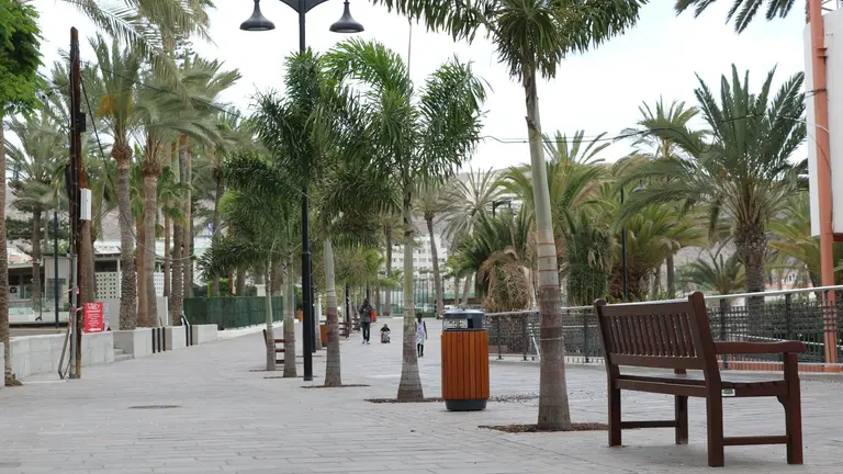Paseo Los Tarajales 3_Fotor