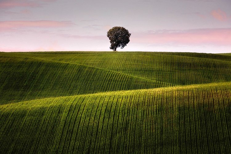 3º premio Roberto Perrino De Las Heras Un nuevo amanecer Soto De Cerrato (Palencia)