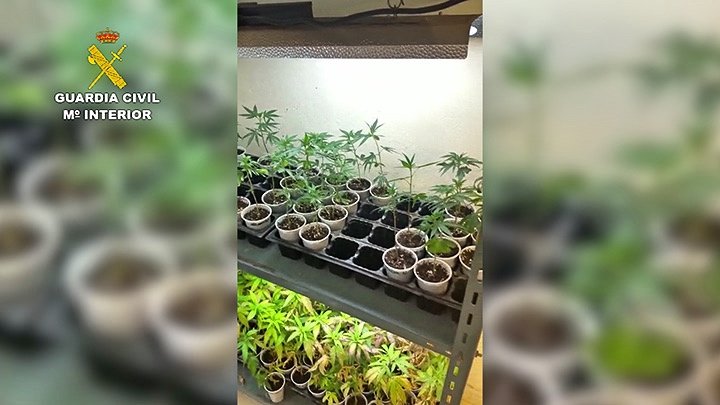 Marihuana Guardia Civil1-2_Fotor