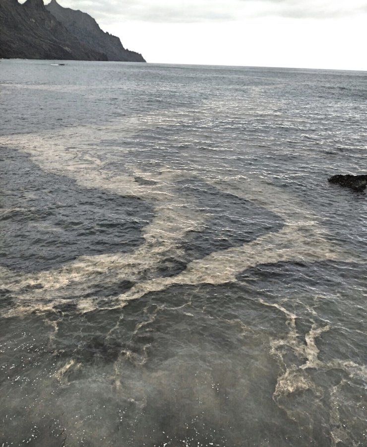 MICROALGAS EN LA ZONA DE EL ROQUE DE LAS BODEGAS, TAGANANA