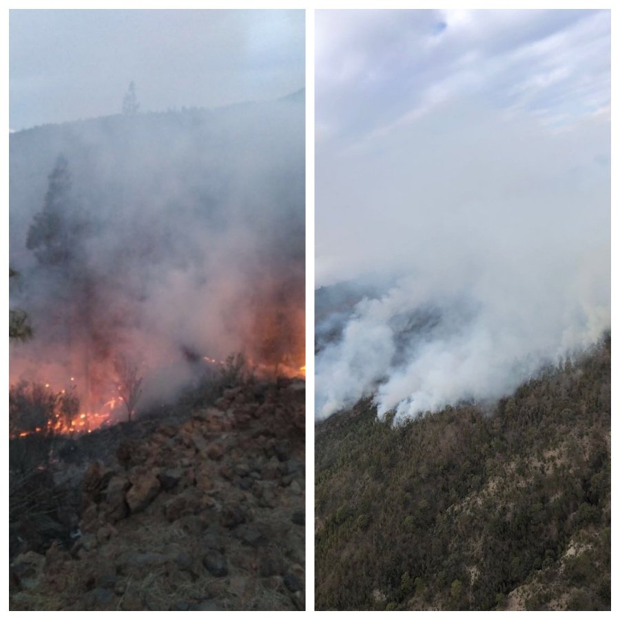 INCENDIO GRANADILLA 1