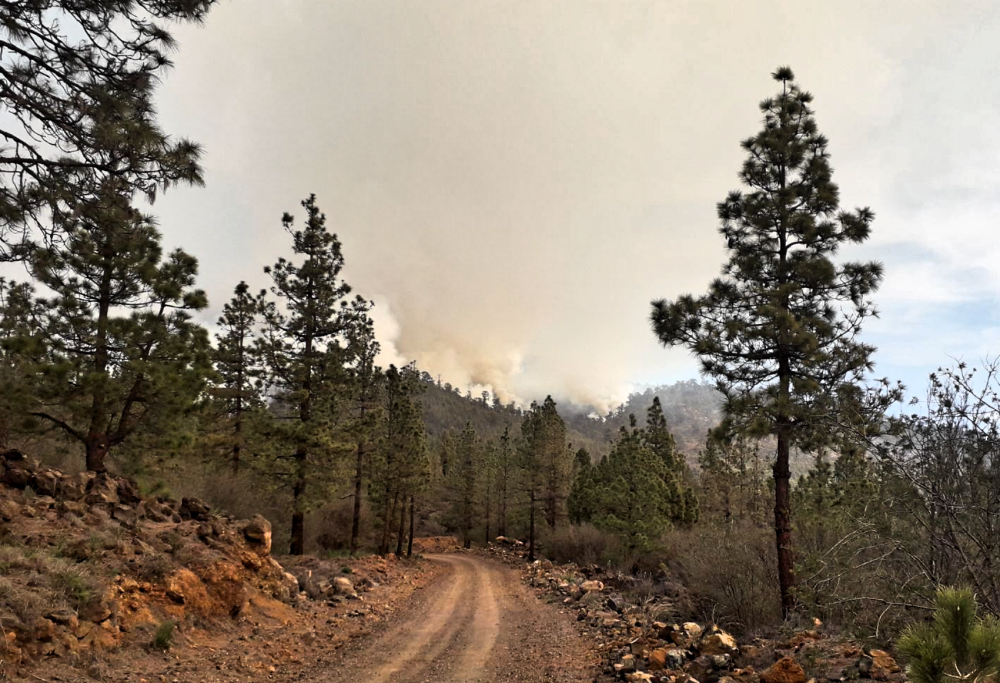 INCENDIO GRANADILLA 2018-04-09 a las 22_Fotor