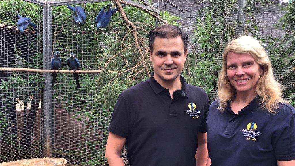 Loro Parque Fundación traslada 6 loros en peligro de extinción para su reinserción en su medio natural (1)_Fotor