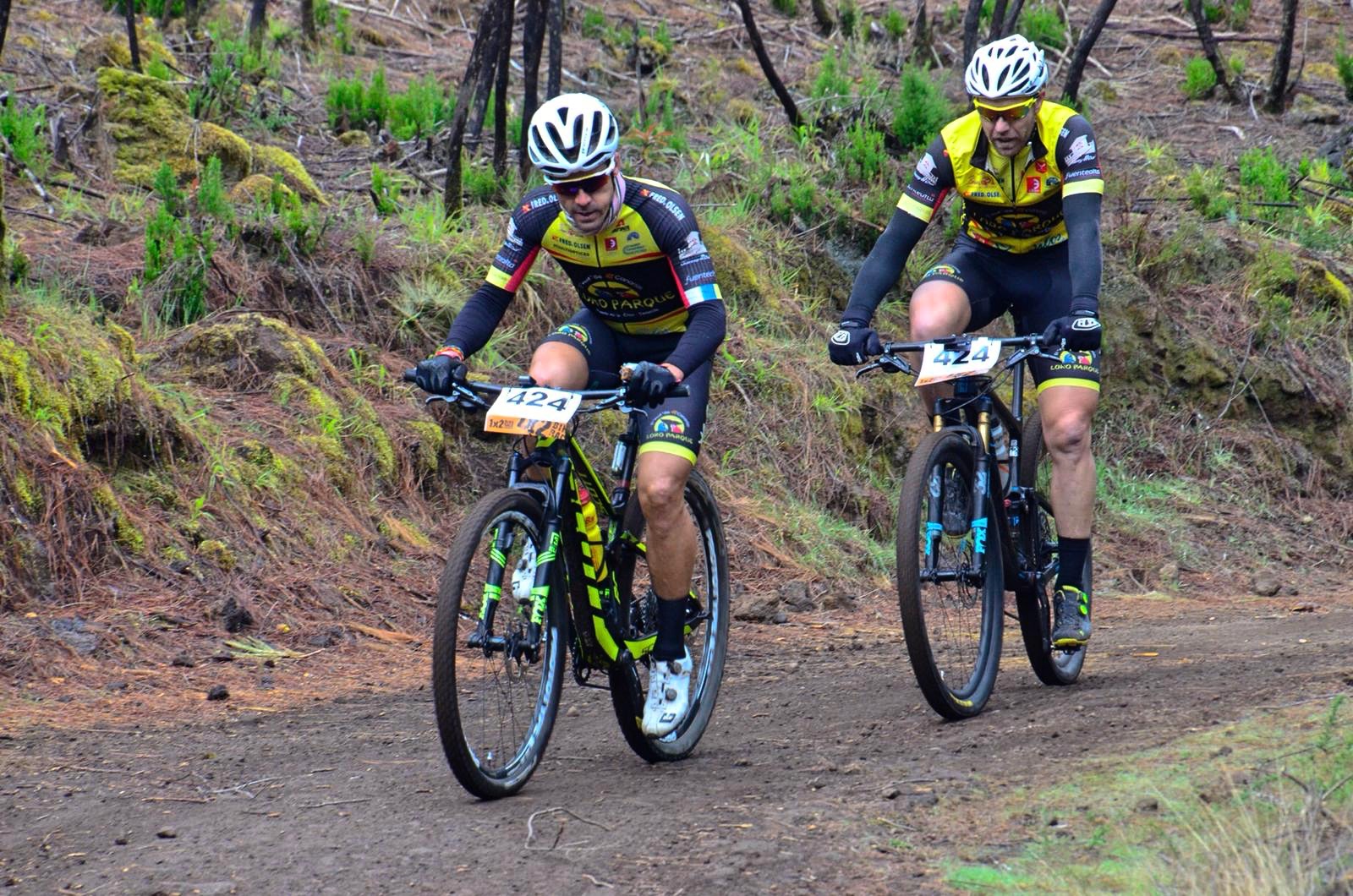 Loro Parque Mountain Bike A0001_Fotor