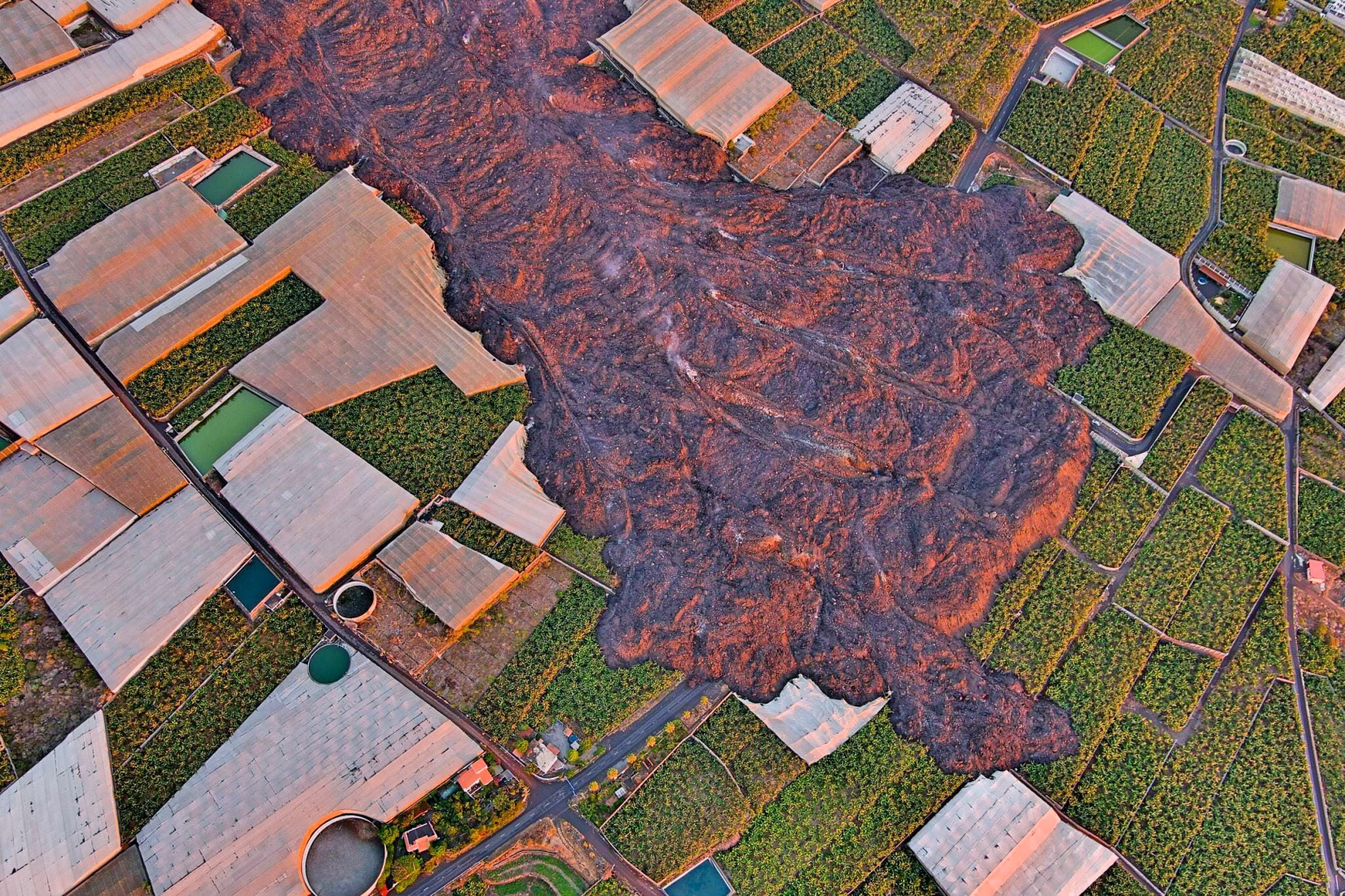 Colada plataneras Volcán La Palma d76399(1)