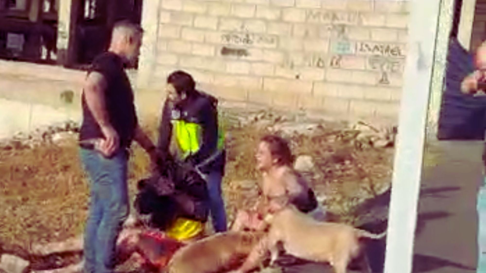 en-la-imagen-momento-en-el-que-dos-polici-as-sujetan-al-detenido-ante-dos-perros