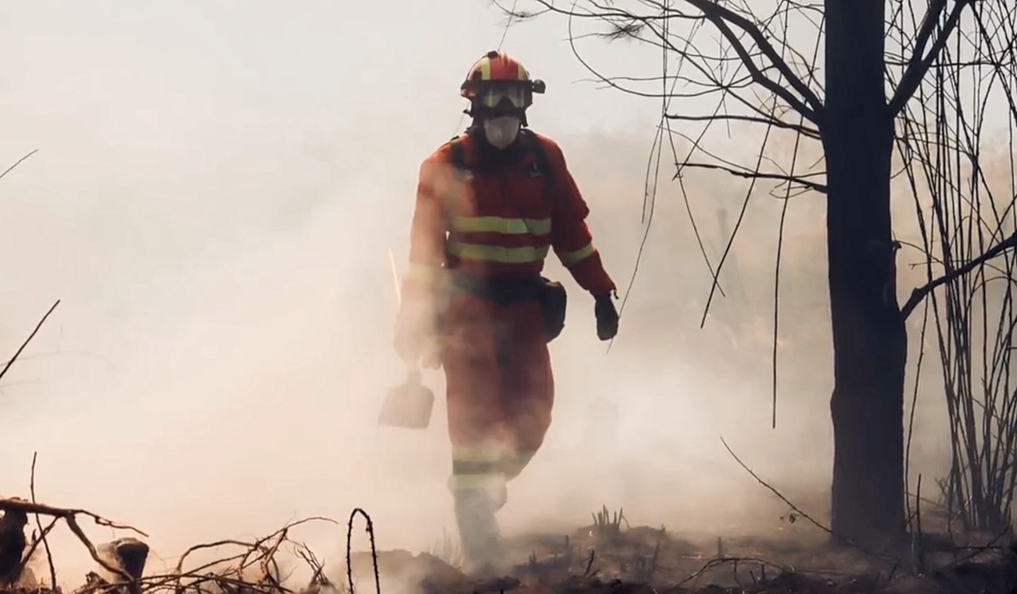 UME incendio tenerife 2023-08-19 a las 14