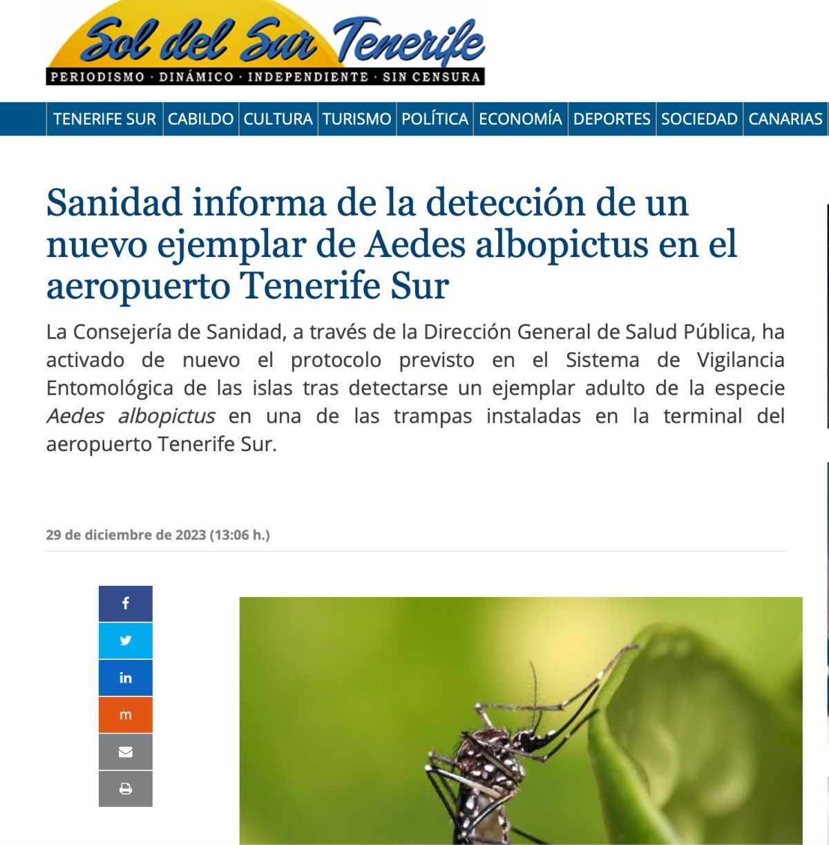 Mosquito tigre en el aeropuerto TF-Sur