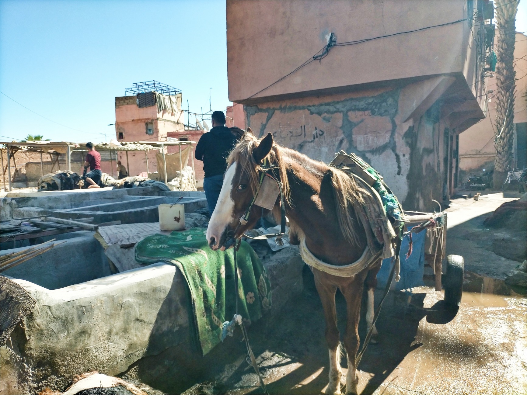 Marruecos