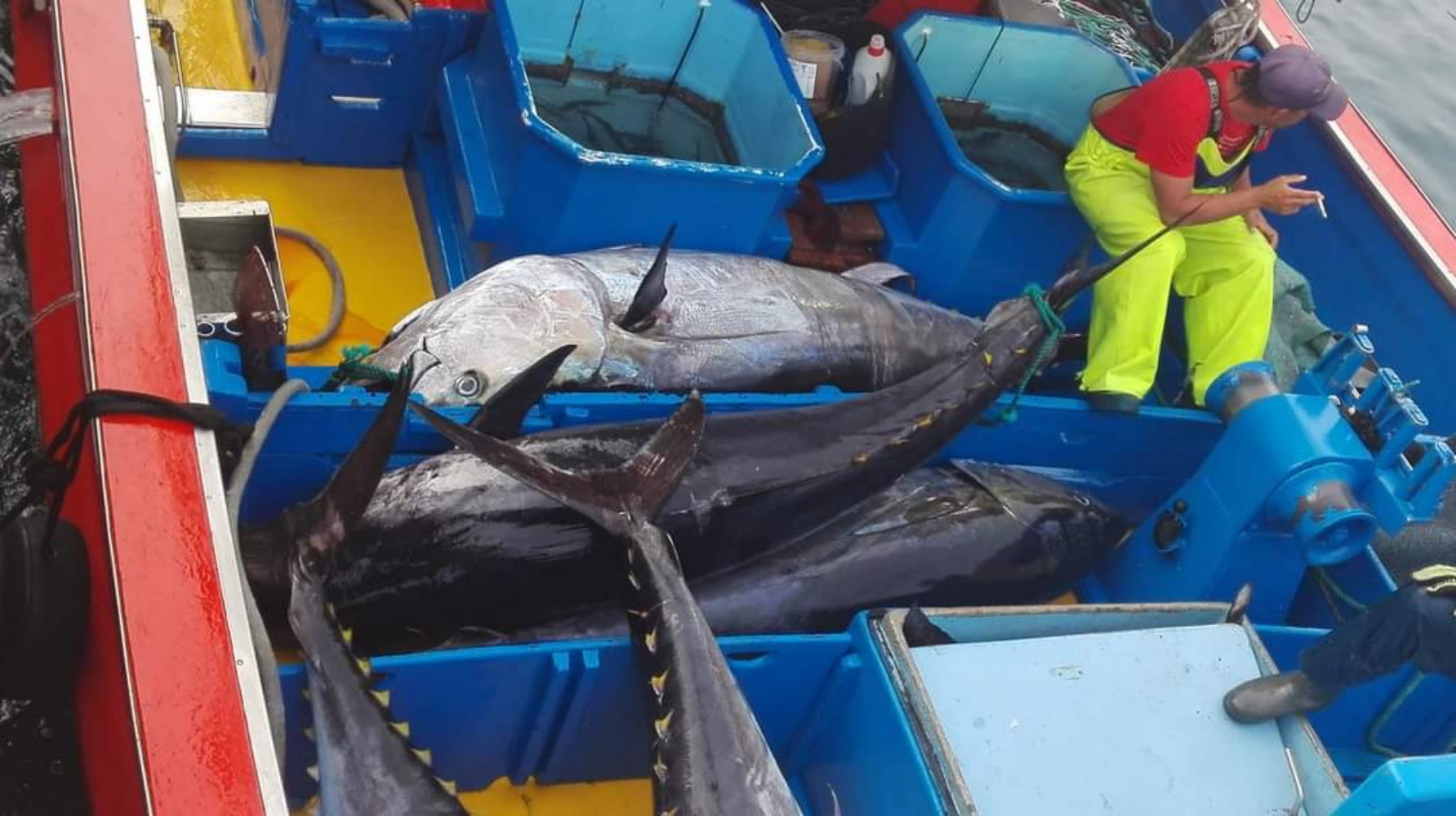 Barco Paquita Pérez