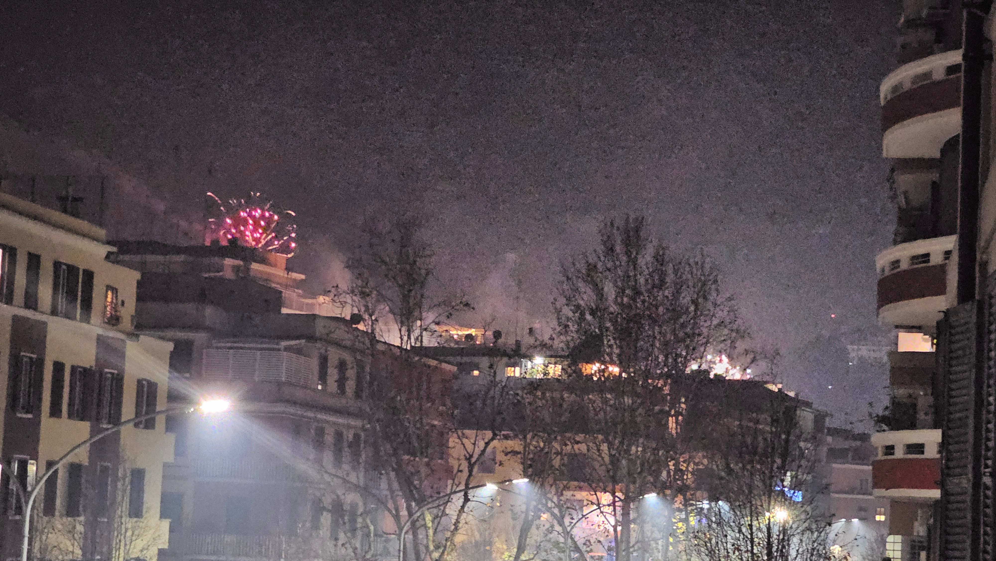 La noche del 31 de diciembre se convirtió en un infierno pirotécnico para los animales.