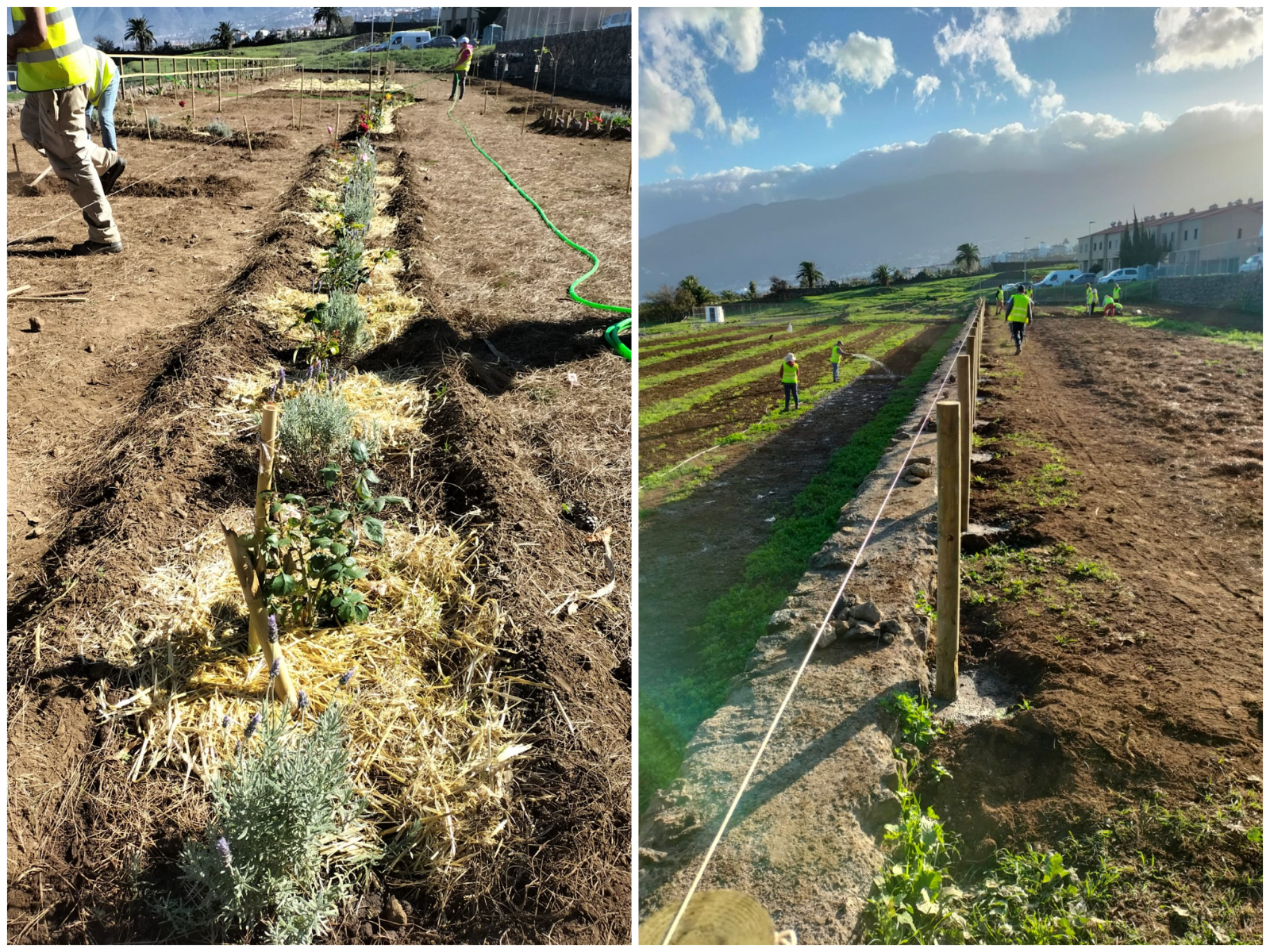 Huerto eco comestible